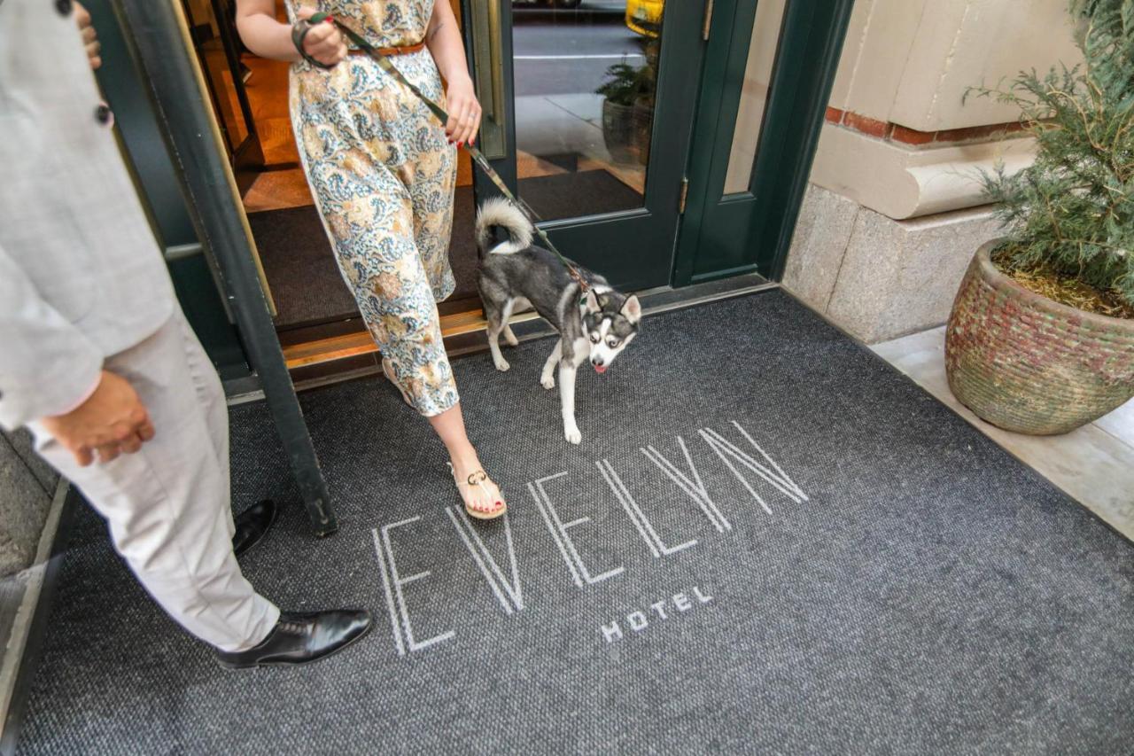 The Evelyn Nomad Hotel New York City Exterior photo Entrance to the hotel