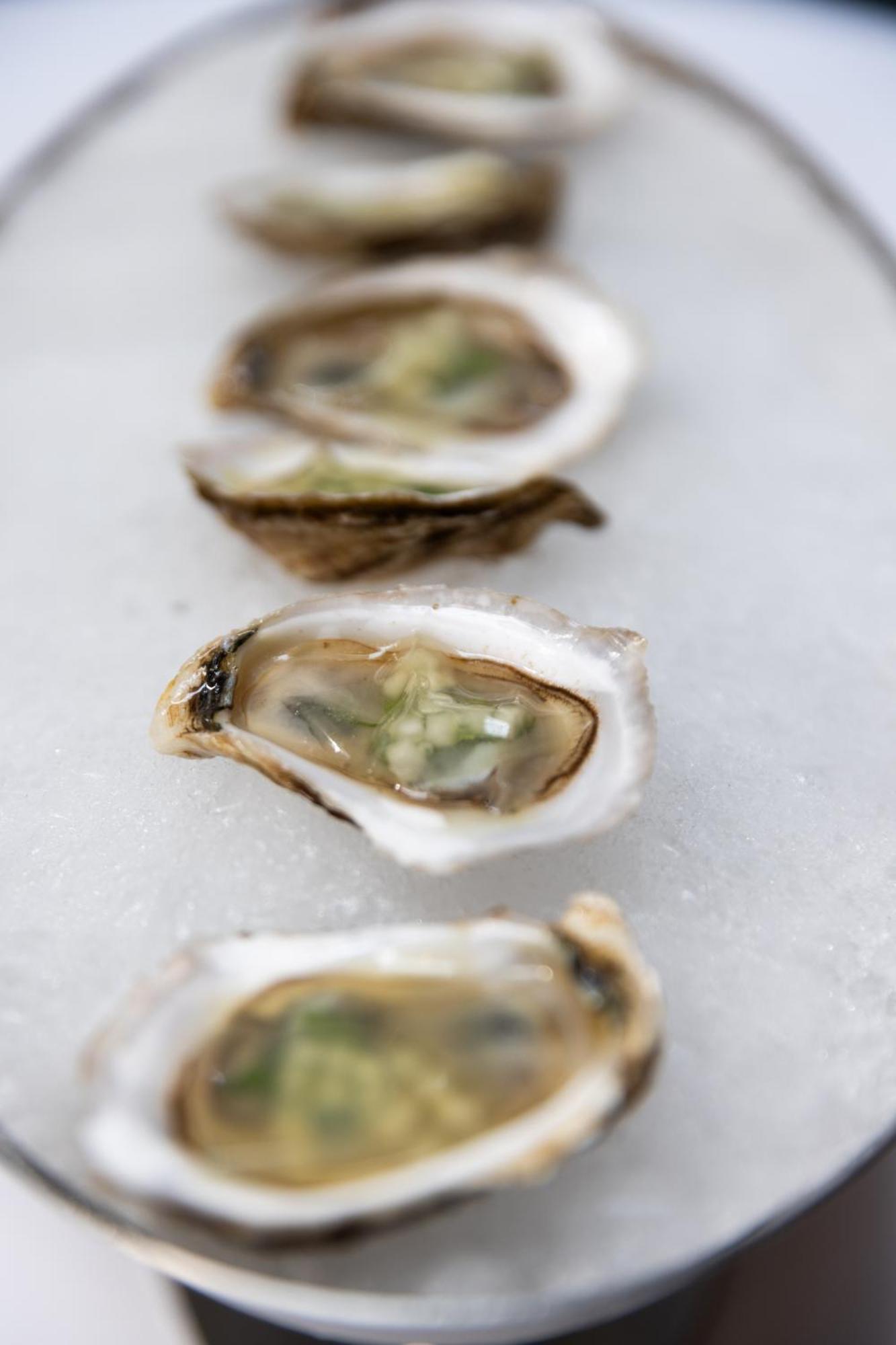 The Evelyn Nomad Hotel New York City Exterior photo Oysters